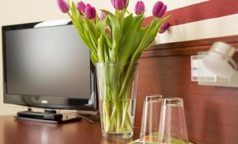 Hotel Weisse Elster