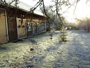 Dränggårdens Stuga på Genuin Rättviksgård