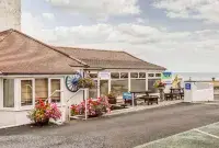 Lyme Bay House Hotels near Dawlish Museum