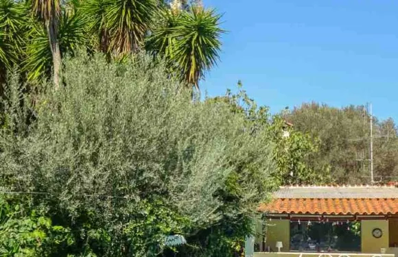 聖託馬斯住宿加早餐旅館