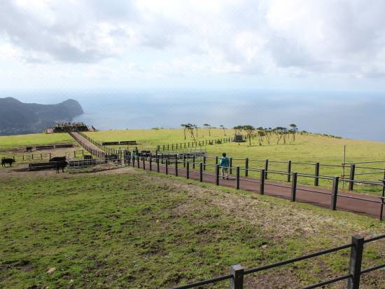 八丈島プチホテル満天望 八丈島 宿泊予約 安い料金プラン 口コミ 部屋写真 Trip Com