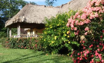 Tanager RainForest Lodge