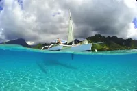 Hotel Hibiscus Hotels in Haapiti