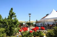 Hotel-Pension am Mühlberg - Wi-Fi