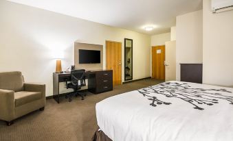 Sleep Inn Dallas Love Field-Medical District