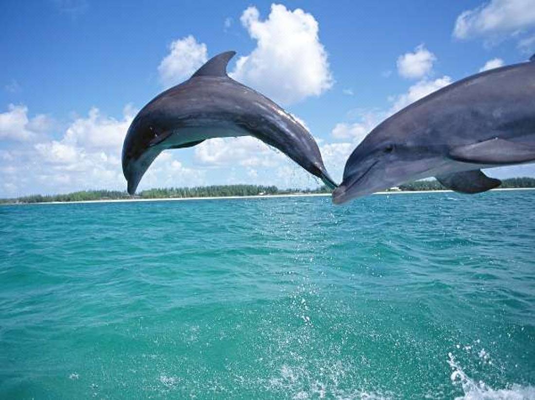 海のauberge晴快荘 南知多 を宿泊予約 22年安い料金プラン 口コミ 部屋写真 Trip Com