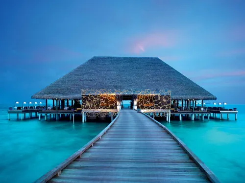 Velaa Private Island - Bar
