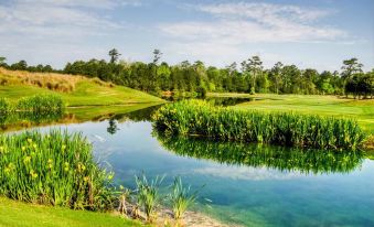 Barefoot Resort Golf & Yacht Club Villas