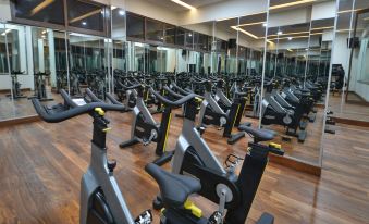 a gym with rows of exercise bikes and treadmills , along with a mirror wall in the background at Speke Hotel 1996 Ltd