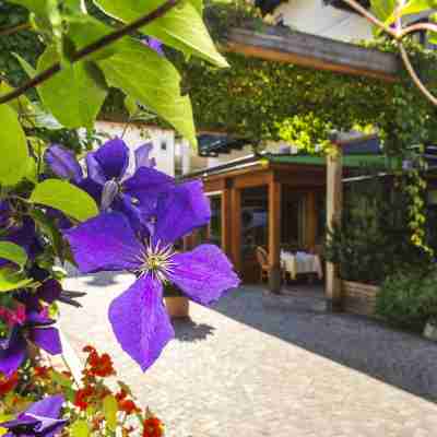 Hotel Drumlerhof Hotel Exterior