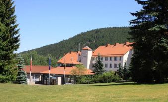 Waldhotel Berghof