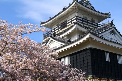 ホテル周辺 ホテルコンコルド浜松の写真