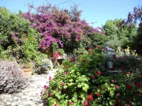 Hotel le Patio Hotels in Théoule-sur-Mer