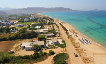 Aronis Plaka Naxos