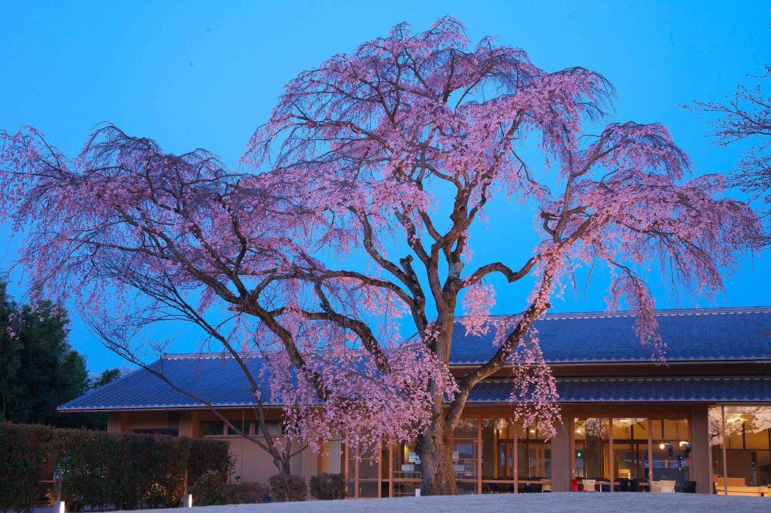 京都 宇多野ユースホステル 京都 を宿泊予約 22年安い料金プラン 口コミ 部屋写真 Trip Com