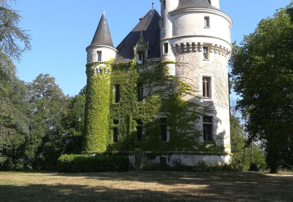 Chateau de la Chaise Saint-Eloi - Valoraciones de hotel de estrellas en  Mosnay