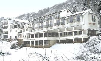 Akzent Waldhotel Rheingau