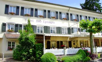 Bad Eptingen