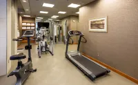 Holiday Inn Express VANCOUVER-METROTOWN (BURNABY) by IHG - Gym