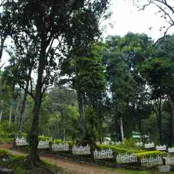 Deep Woods Resort Others