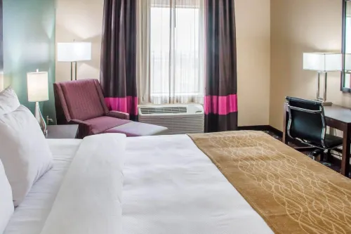Comfort Inn & Suites San Marcos - parking
