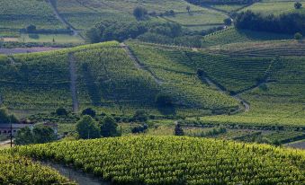 B&B HOTEL Cherasco Langhe
