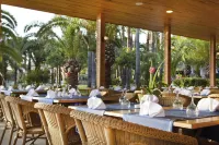 Meryan Hotel - Ultra All Inclusive - bar