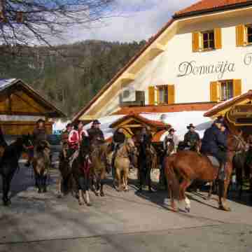 Domačija Vodnik & Apartments Hotel Exterior