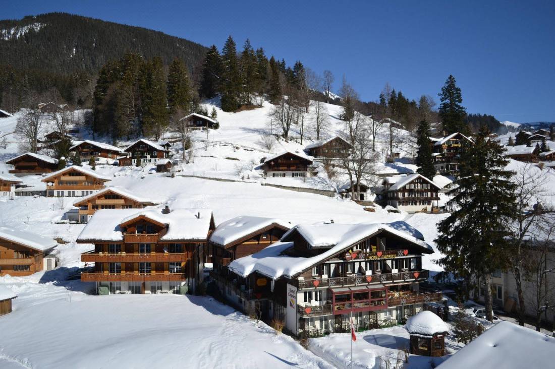 Hotel Caprice - Grindelwald-Grindelwald Updated 2022 Room Price-Reviews &  Deals | Trip.com