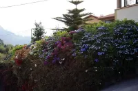 Hotel Foronda Hotels in Ribadesella