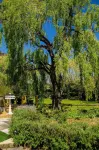 Swan House Hotels in Martinborough