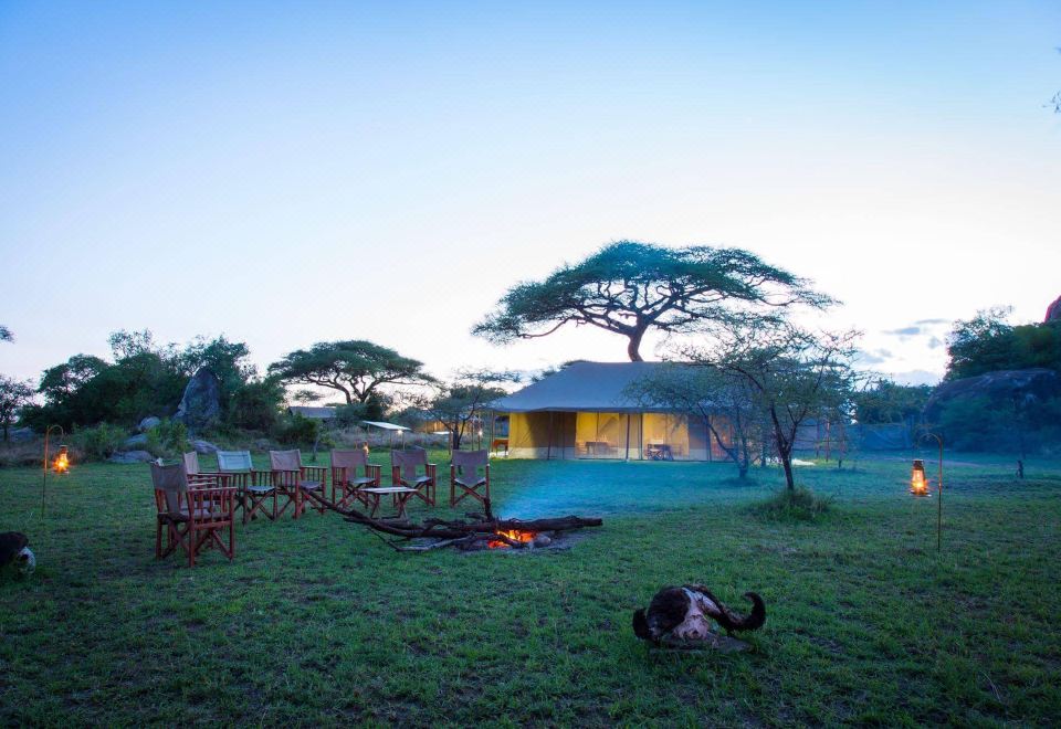 Kisura Serengeti Tented Camp-Serengeti Updated 2023 Room Price-Reviews &  Deals | Trip.com