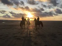 Ecurie Leseigneur Hotels in Barneville-Carteret