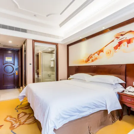 Vienna Hotel (Gaozhou Chengdong Passenger Station)