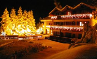 Chalet Hôtel les Airelles