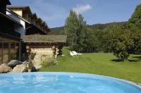 Hotel Gut Schmelmerhof - Pools