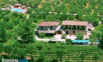 Agriturismo la Rocca Assisi
