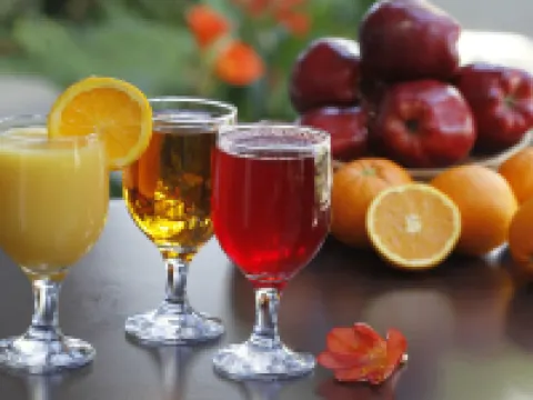 カールスバッド バイ ザ シー ホテル カールスバッドのホテル