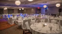 Holiday Inn & Suites Davenport Hotels in Davenport
