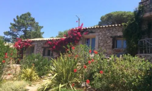 Hôtel Ambassador Palombaggia