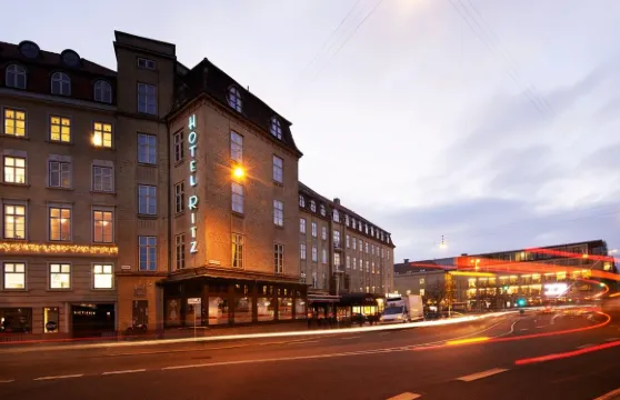 奧胡斯市利茲米林酒店