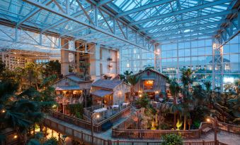 Gaylord Palms Resort & Convention Center