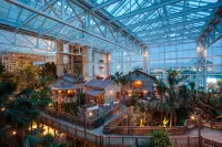 Gaylord Palms Resort & Convention Center Hotels in Kissimmee