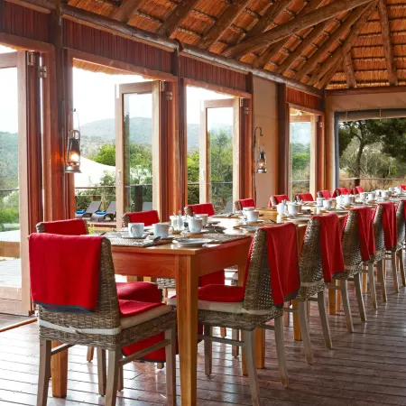 Thanda Safari