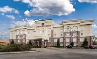 Comfort Suites West Memphis I-40 I-55