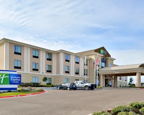 Holiday Inn Express & Suites Schulenburg by IHG Hotels in Fayette County