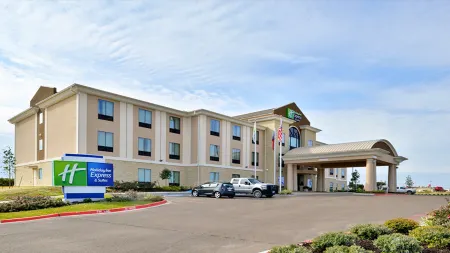 Holiday Inn Express & Suites Schulenburg by IHG