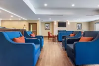 Comfort Inn & Suites Hotels in Stone Mills