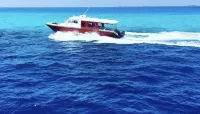 Palm Rest فنادق في Kaashidhoo