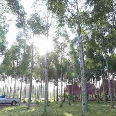 Na Rommai Resort Hotel Exterior